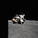 LM in lunar orbit